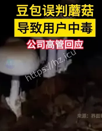 豆包误判蘑菇